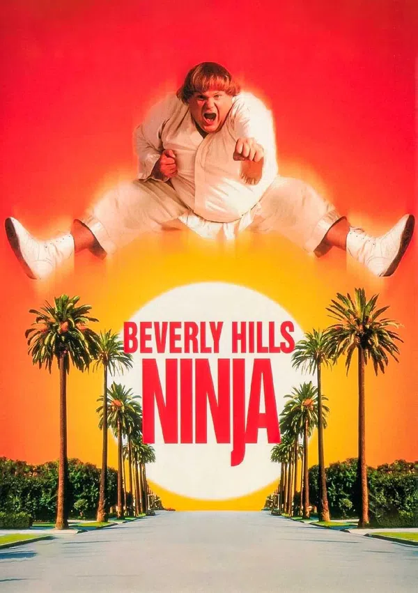 Poster phim Ninja Béo Ù trên Xem Phim Fun